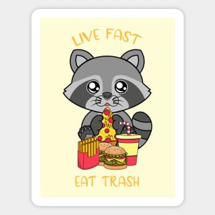 Live fast eat trash, cute raccoon eating fast food. Magnet